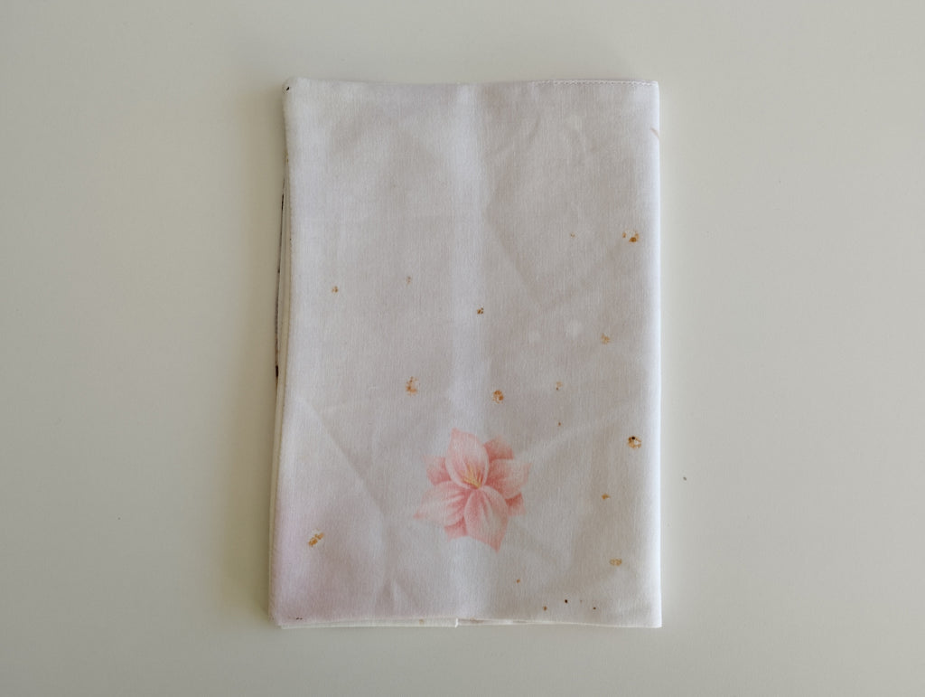 Protège carnet de santé "Un indien dans la Savane", Blanche & Noé